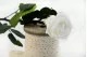 Rosa stabilizzata con stelo 30 cm Bianco (x25) 14