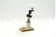 Rosa stabilizzata con stelo 30 cm Bianco (x25) 15