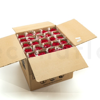 Rose mit St&auml;ngel Bulk 30 cm Konserviert - 25 St&uuml;ck - Rot