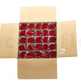Roses on stem jumbled 30cm Preserved - 25 Units - Red