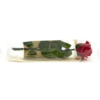 Preserved Rose on stem 30 cm Red (x25)