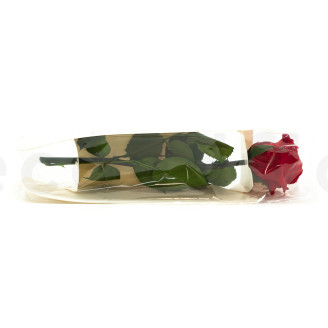 Rose mit St&auml;ngel Bulk 30 cm Konserviert - 25 St&uuml;ck - Rot