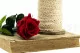 Rosa stabilizzata con stelo 30 cm Rosso (x25) 9