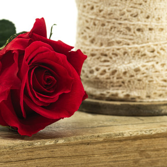 Rose mit St&auml;ngel Bulk 30 cm Stabilisiert - 25 St&uuml;ck - Rot