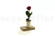 Rose stabilis&eacute;e sur tige 30 cm Rouge (x25) 10