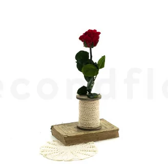 Konservierte Rose mit 30 cm Stiel Rot (x25)