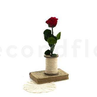 Rosa su stelo stabilizzata vrac 30cm - 25 unit&agrave; - Rosso