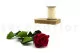 Preserved Rose on stem 30 cm Red (x25) 12