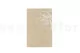 Rose stabilis&eacute;e sur tige 50 cm Rouge - Bo&icirc;te cadeau individuelle (x20) 10
