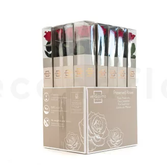Konservierte Rose mit 50 cm Stiel Rot - Einzelne Geschenkbox (x20)