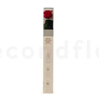 Konservierte Rose mit 50 cm Stiel Rot - Einzelne Geschenkbox (x20)