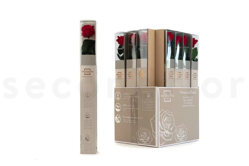 Rose stabilis&eacute;e sur tige 50 cm Rouge - Bo&icirc;te cadeau individuelle (x20)