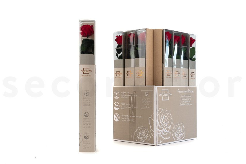 Rosen mit St&auml;ngel stabilisiert 50 cm - Gift Box 20 St&uuml;ck - Rot