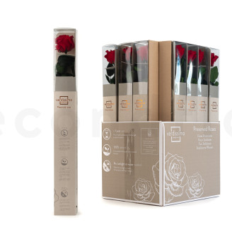 Rosen mit St&auml;ngel konserviert 50 cm - Gift Box 20 St&uuml;ck - Rot