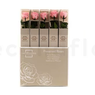Preserved Rose on stem 50 cm Pastel Pink - Individual Gift Box (x20)