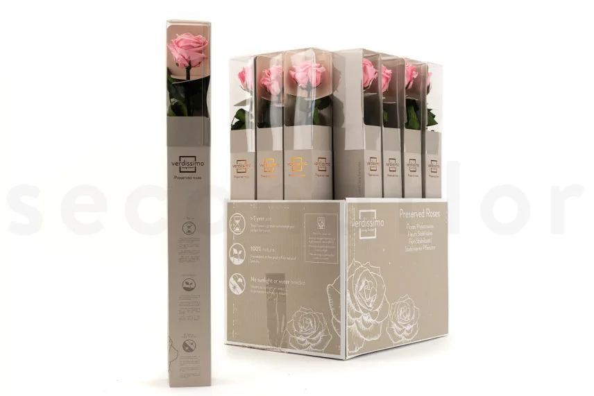 Rosa stabilizzata con stelo 50 cm Rosa Pastello - Scatola regalo individuale (x20)