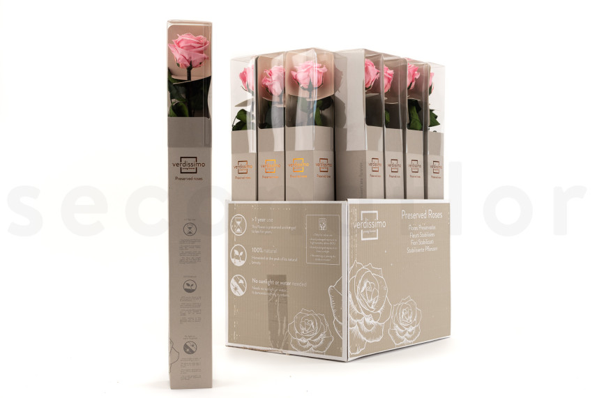 Rose su stelo preservato 50 cm - Gift Box 20 unit&agrave; - Rosa chiaro