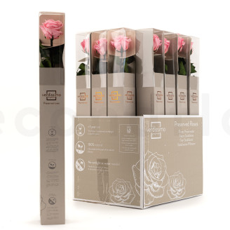 Rosas preservadas con tallo 50 cm - Gift Box 20 unidades - Rosa claro
