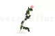 Rosa preservada con tallo 50 cm Rosa Pastel - Caja regalo individual (x20) 2
