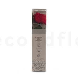 Roses anglaise sur tige stabilis&eacute;es 30cm - Gift Box 25 Unit&eacute;s - Rouge