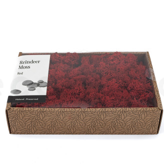 Lichene preservato - Creabox M - Rosso