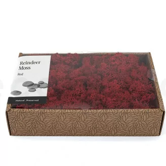 Preserved Reindeer Moss Red (Creabox M)