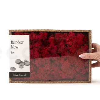 Lichen stabilis&eacute; Rouge (Creabox M)