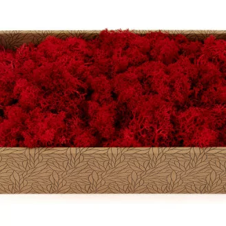 Lichen stabilis&eacute; Rouge (Creabox M)