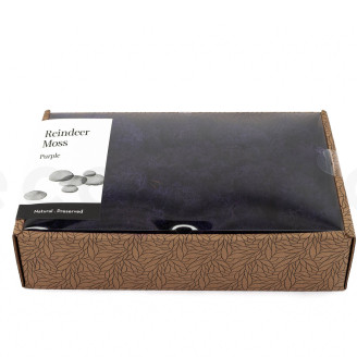 Lichene preservato - Creabox M - Viola