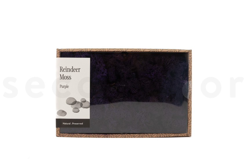 Lichene stabilizzato - Creabox M - Viola