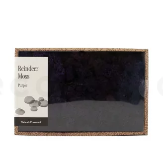Lichene stabilizzato - Creabox M - Viola