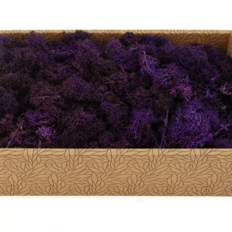 Lichene stabilizzato Viola (Creabox M)