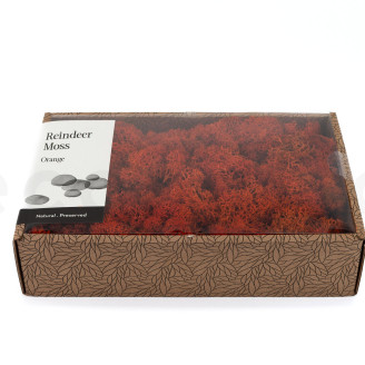 Lichen Stabilis&eacute; - Creabox M - Orange