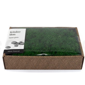 Preserved Reindeer Moss - Creabox M - Nature Green