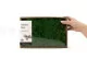 Lichen stabilis&eacute; Nature Green (Creabox M) 4