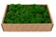 Lichene stabilizzato Nature Green (Creabox M) 5