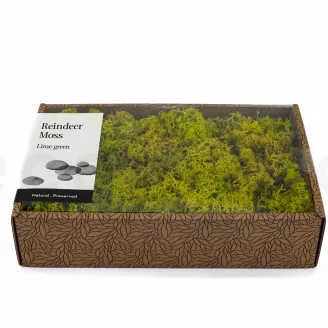 Lichen stabilis&eacute; Lime Green (Creabox M)
