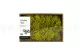 Preserved Reindeer Moss Lime Green (Creabox M) 2