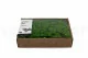 Lichene stabilizzato Light Green (Creabox M) 6