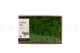 Lichene stabilizzato Light Green (Creabox M) 2