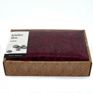 Lichen stabilis&eacute; Fuchsia (Creabox M)