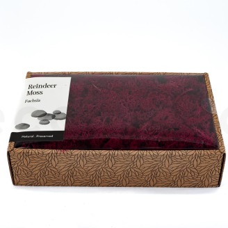 Lichene preservato - Creabox M - Fuchsia