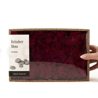 Preserved Reindeer Moss Fuchsia (Creabox M)