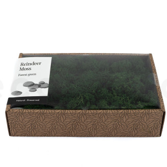Islandmoos konserviert - Creabox M - Forest Green