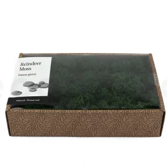 Lichen stabilis&eacute; Forest Green (Creabox M)
