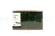Liquen preservado Forest Green (Creabox M) 2