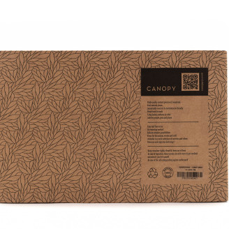 Preserved Reindeer Moss - Creabox M - Forest Green