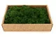 Lichen stabilis&eacute; Forest Green (Creabox M) 5
