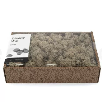 Lichene stabilizzato Crema (Creabox M)