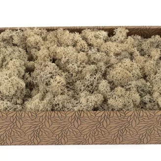 Lichen stabilis&eacute; Cr&egrave;me (Creabox M)